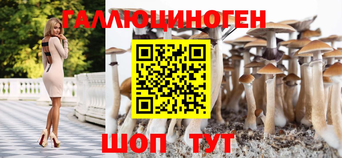 купить закладку  Вход с VPN  Кореновск  Галлюциногенные грибы GOLDEN TEACHER 