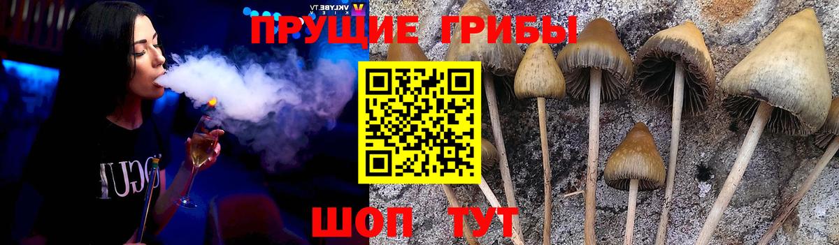 Галлюциногенные грибы мицелий Кореновск